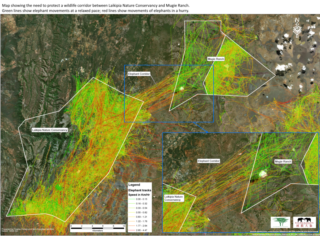 Original GIS map of elephant GPS tracks between Laikipia Nature Conservancy and Mugie Ranch