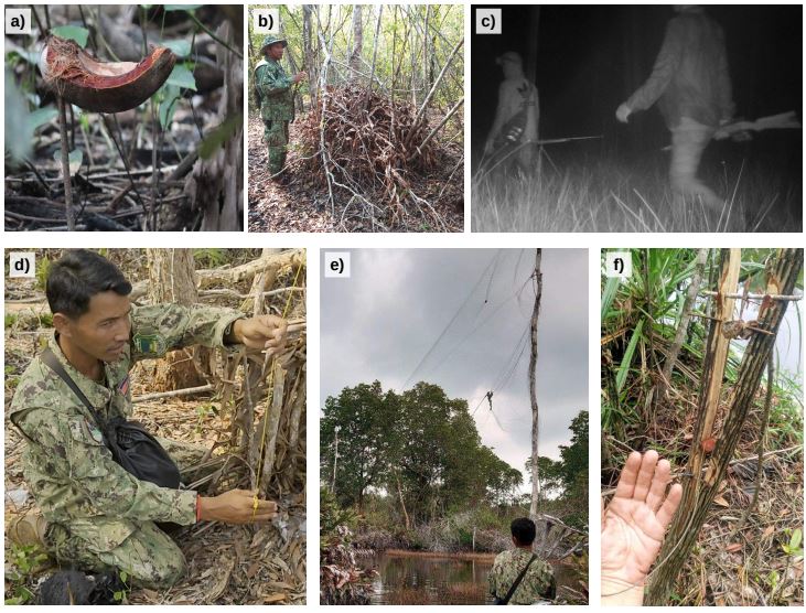 Snare Removal: Preventing Biodiversity Loss, One Trap at a Time