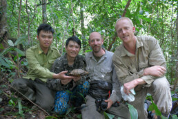 turtle rescue vietnam
