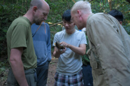 turtle rescue vietnam snare removal